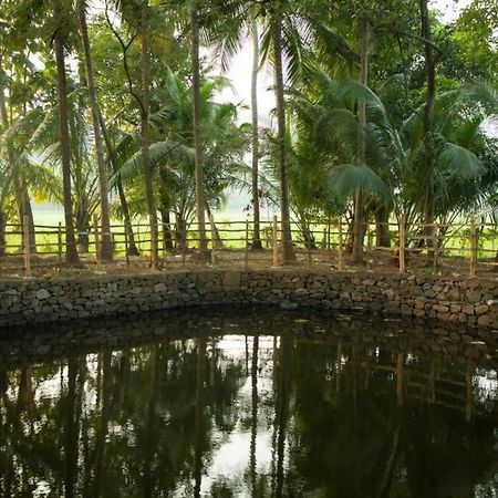 Heal Hive Homestay Palakkad Exterior photo
